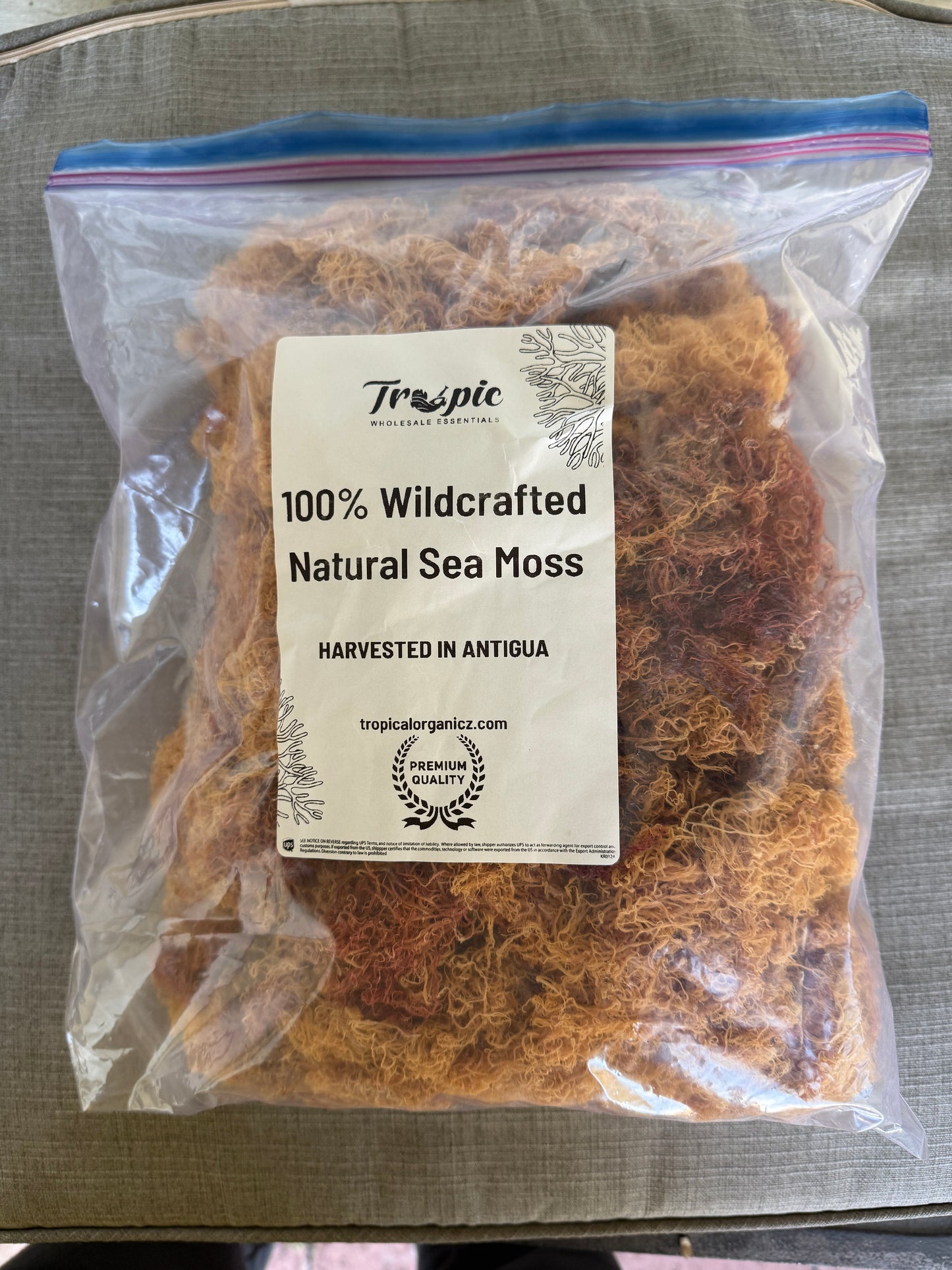 Wholesale 100% Organic Sea Moss MEGA SALE FRESH HARVEST 2025