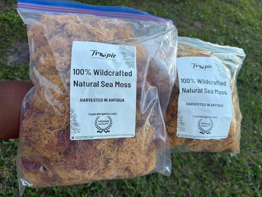 Wholesale 100% Organic Sea Moss MEGA SALE FRESH HARVEST 2025