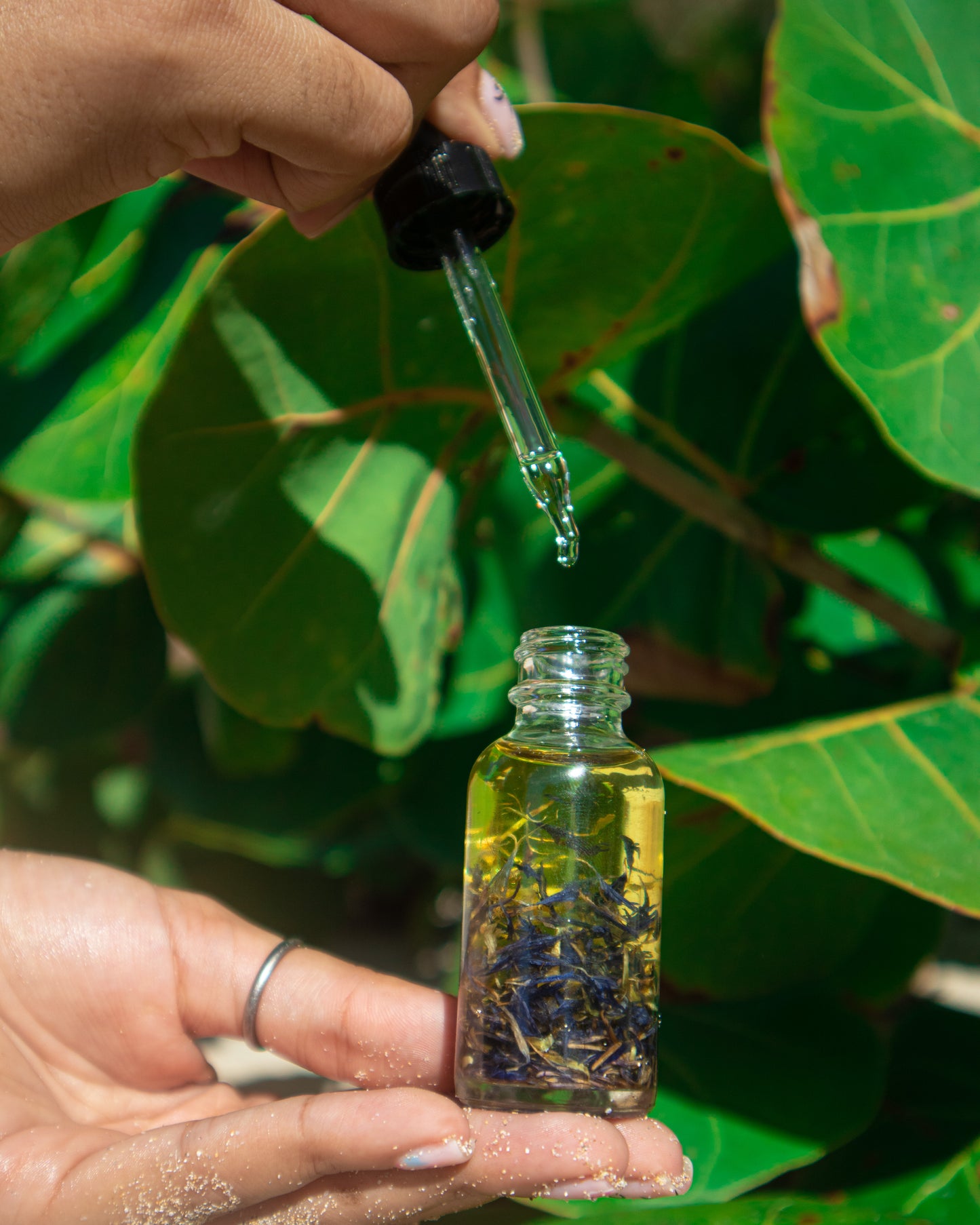 Island Glow Face Elixir (Dry to Normal Skin)