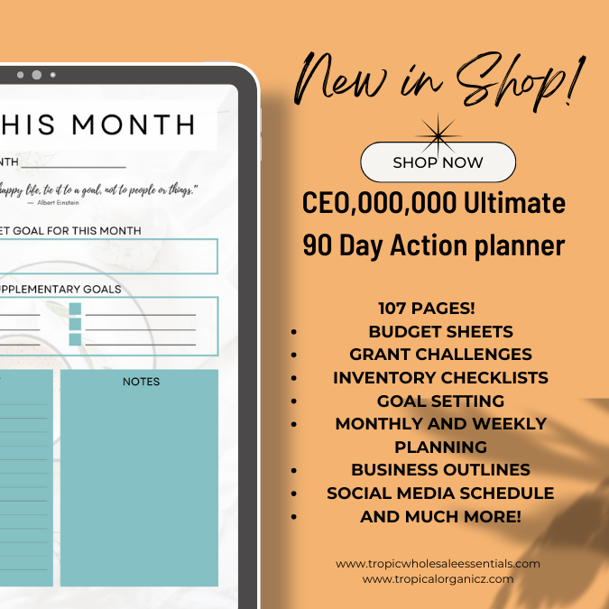 CEO,000,000 Action Planner (Printable/Digital PDF)