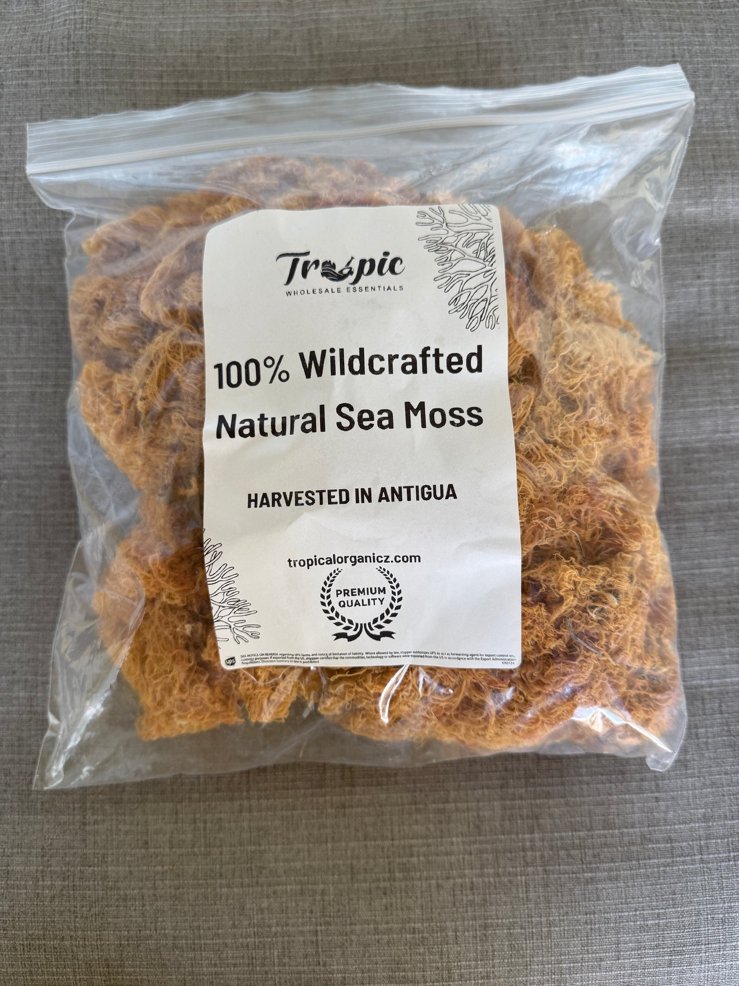 Wholesale 100% Organic Sea Moss MEGA SALE FRESH HARVEST 2025