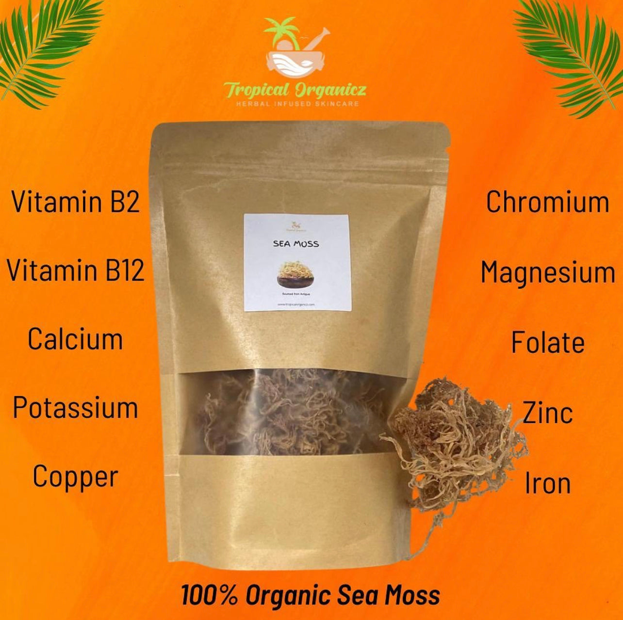 Wholesale 100% Organic Sea Moss MEGA SALE FRESH HARVEST 2025