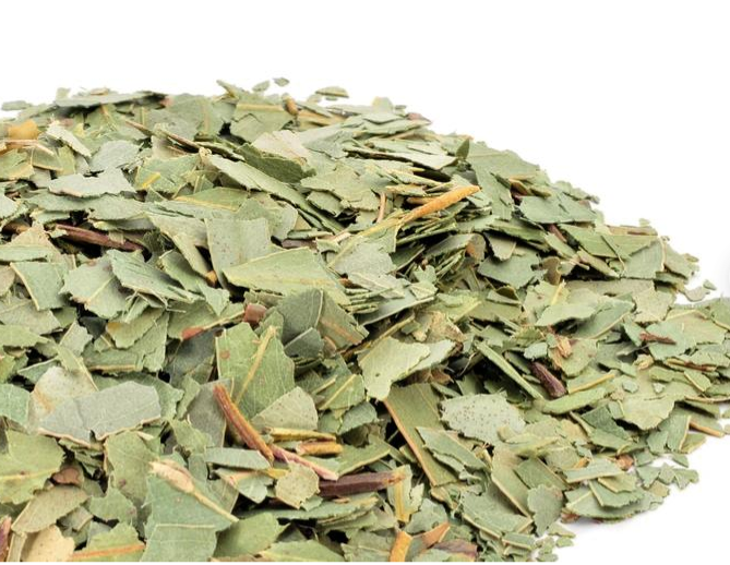 Eucalyptus Loose Leaves